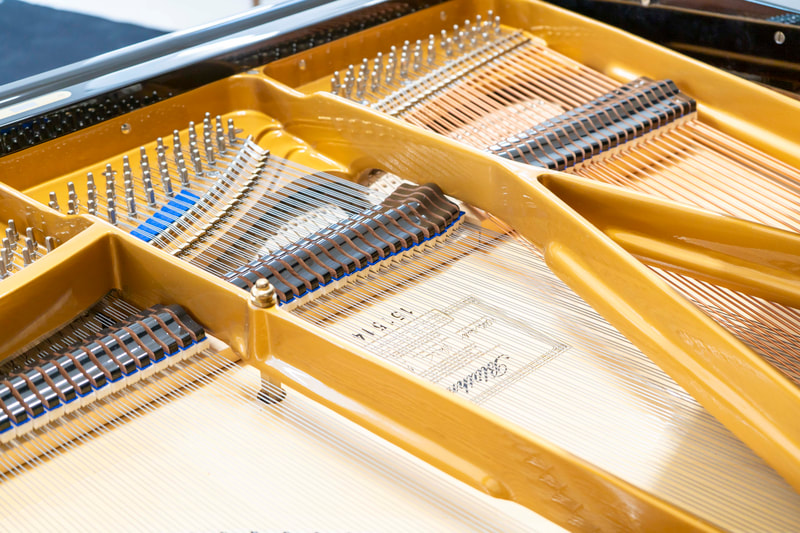 Blüthner - Modell 2-238