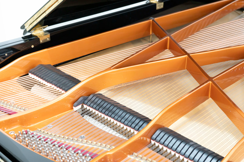 Bösendorfer – Modell 225 – vollständig restauriert