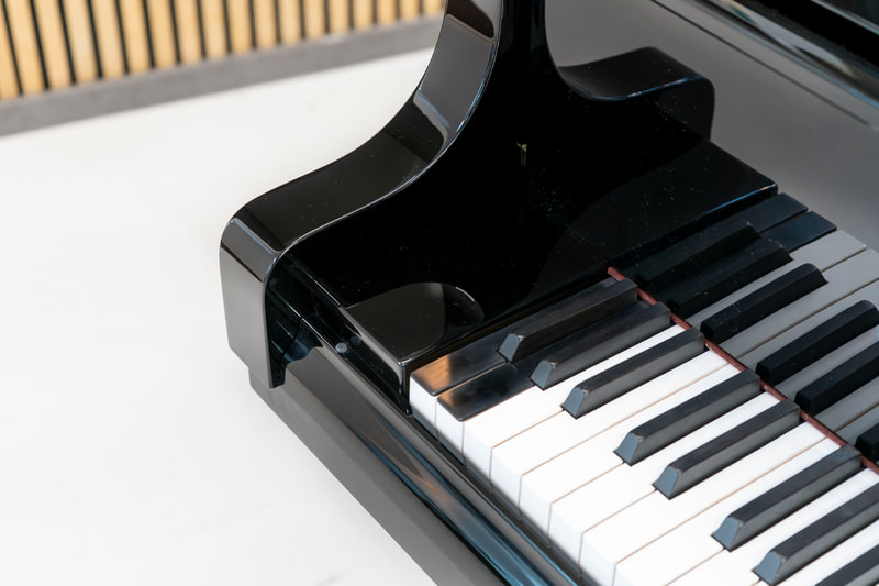 Bösendorfer – Modell 225 – aus Erstbesitz