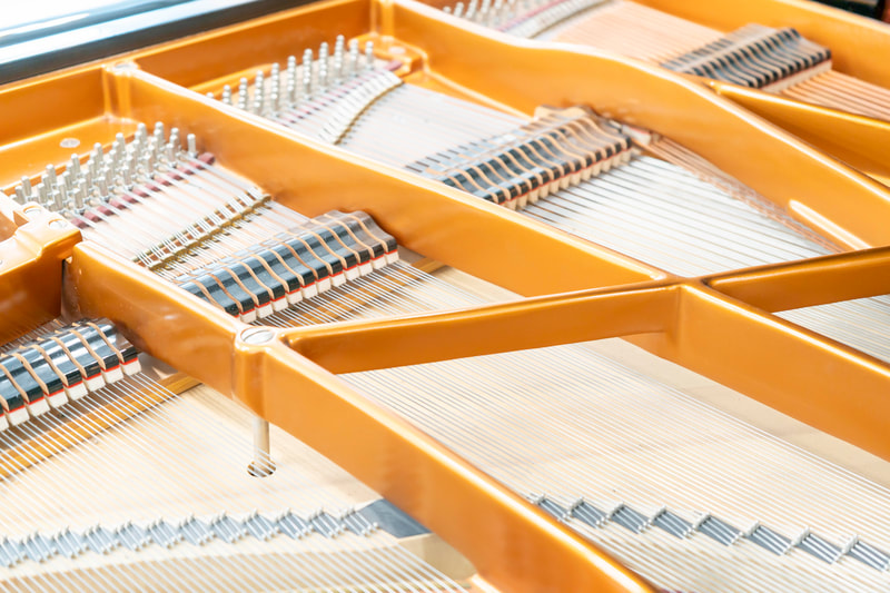 Bösendorfer – Modell 225 – aus Erstbesitz