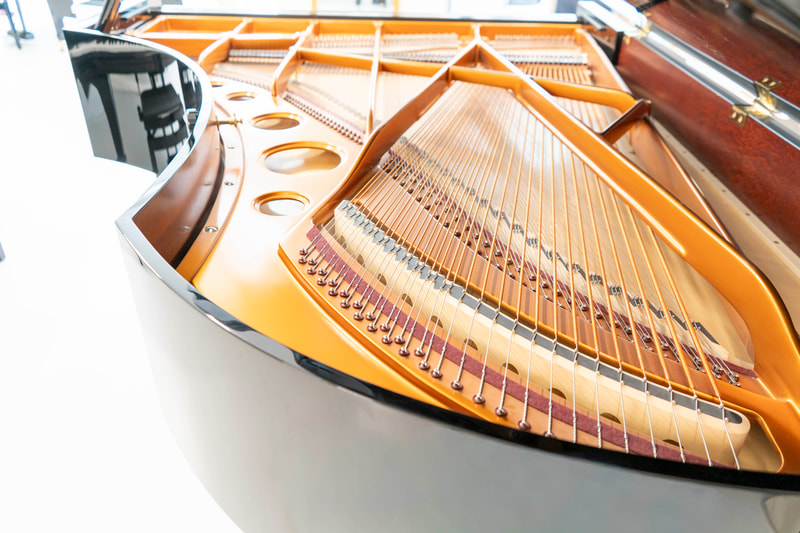 Bösendorfer – Modell 225 – aus Erstbesitz