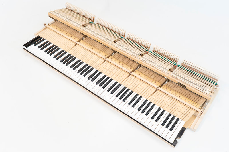Bösendorfer – Modell 225 – aus Erstbesitz