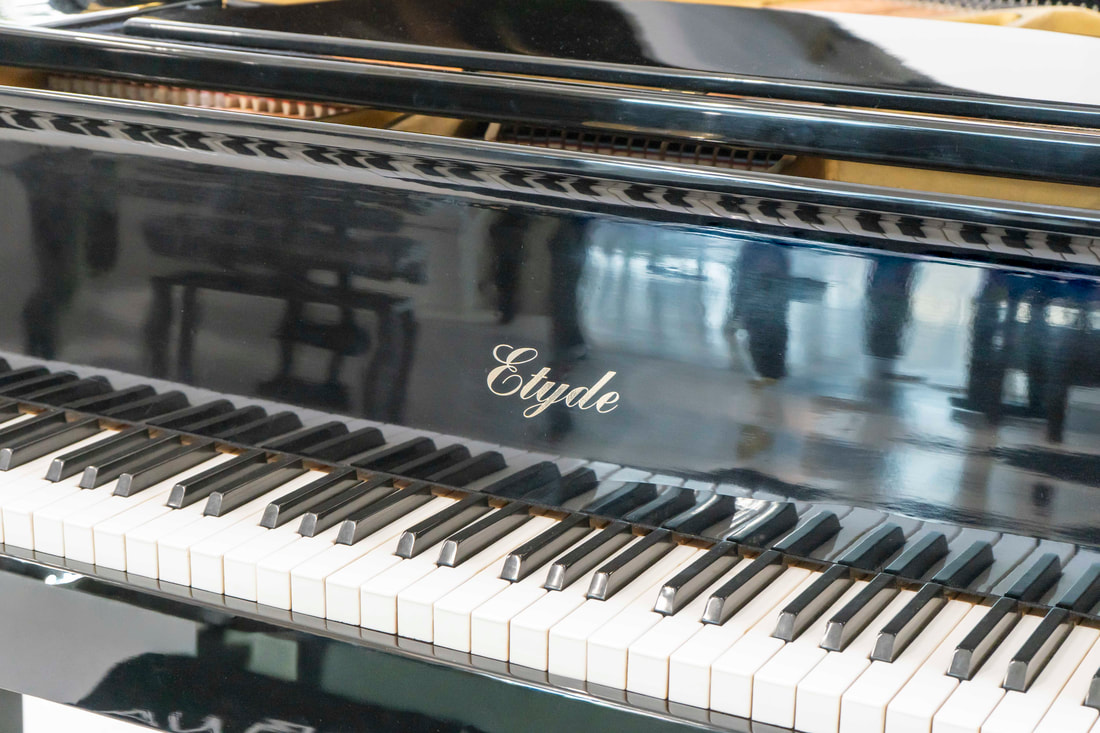 Etyde - Modell 160