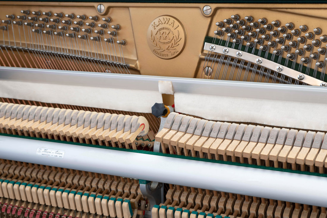 Kawai BL61s
