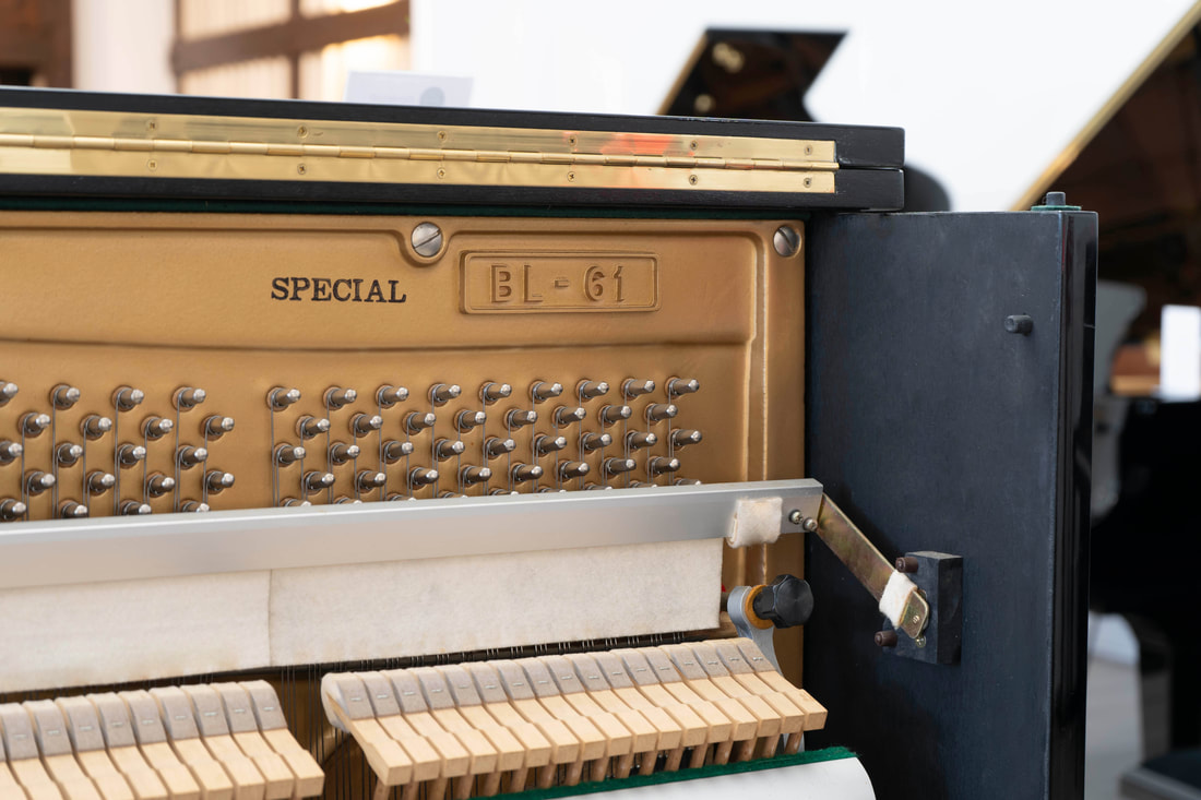 Kawai BL61s