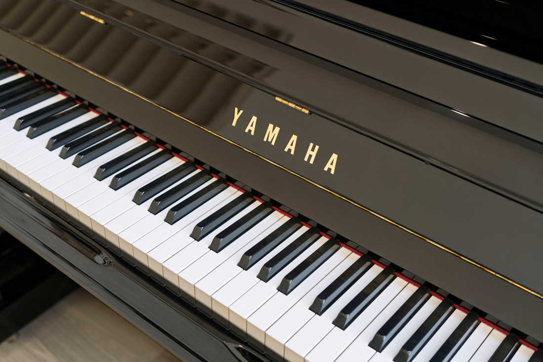 Yamaha YU10