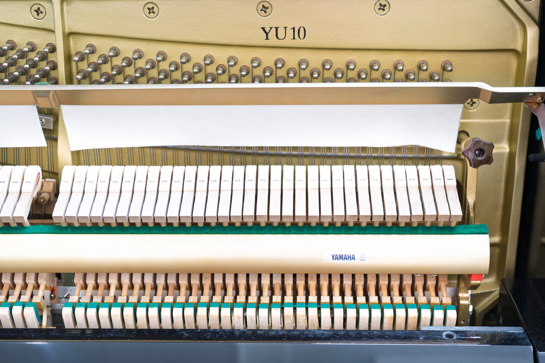 Yamaha YU10