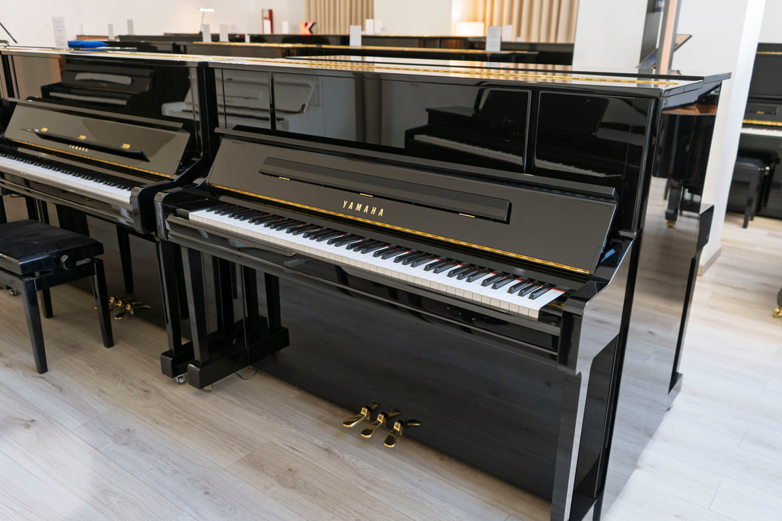 Yamaha YU10