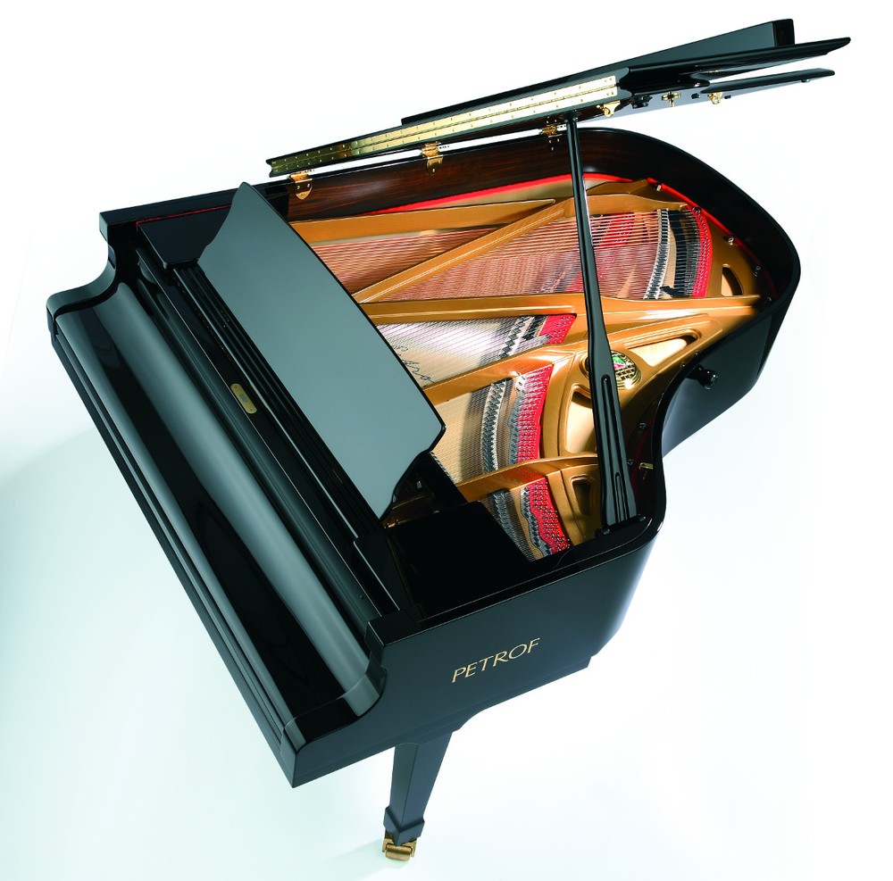 PETROF – P 194 Storm – Bild 3