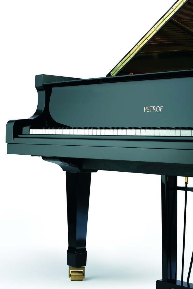 PETROF – P 210 Pasat – Bild 3
