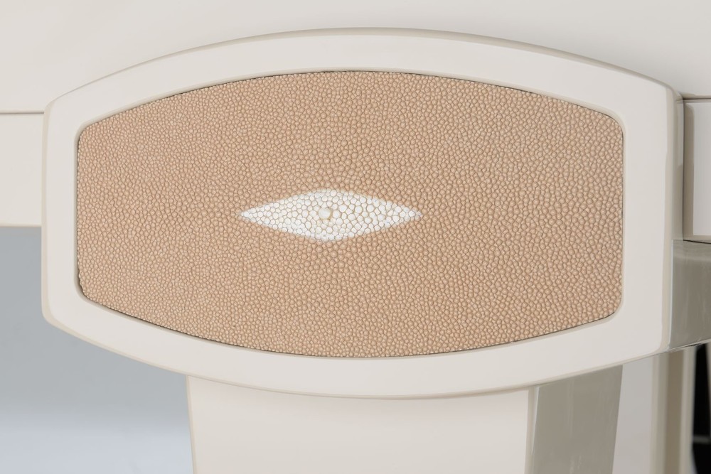 PETROF – Stingray – Bild 2