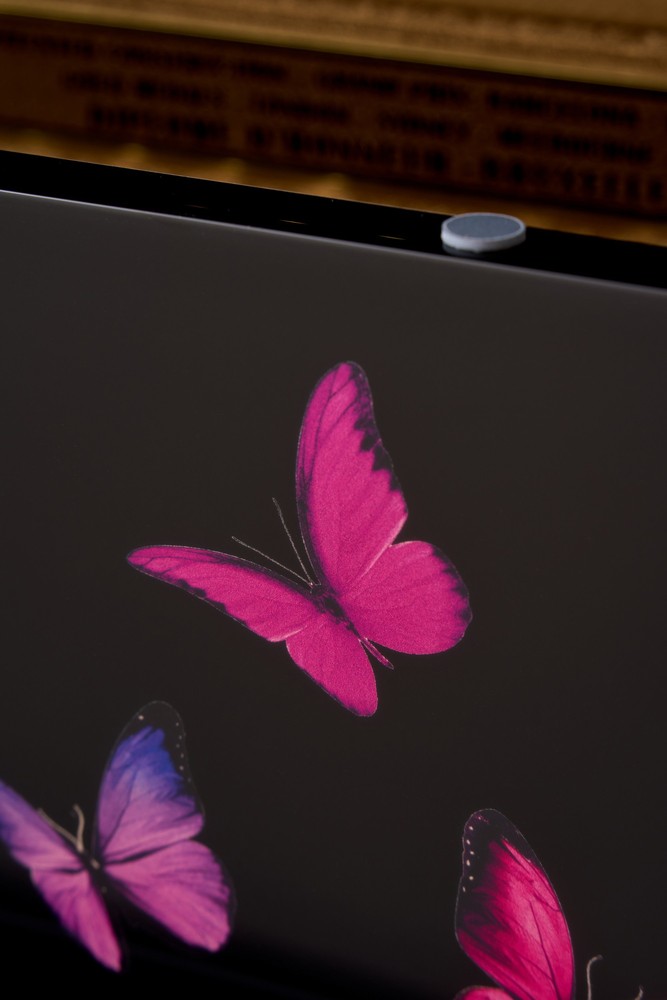 PETROF – Butterfly – Bild 5