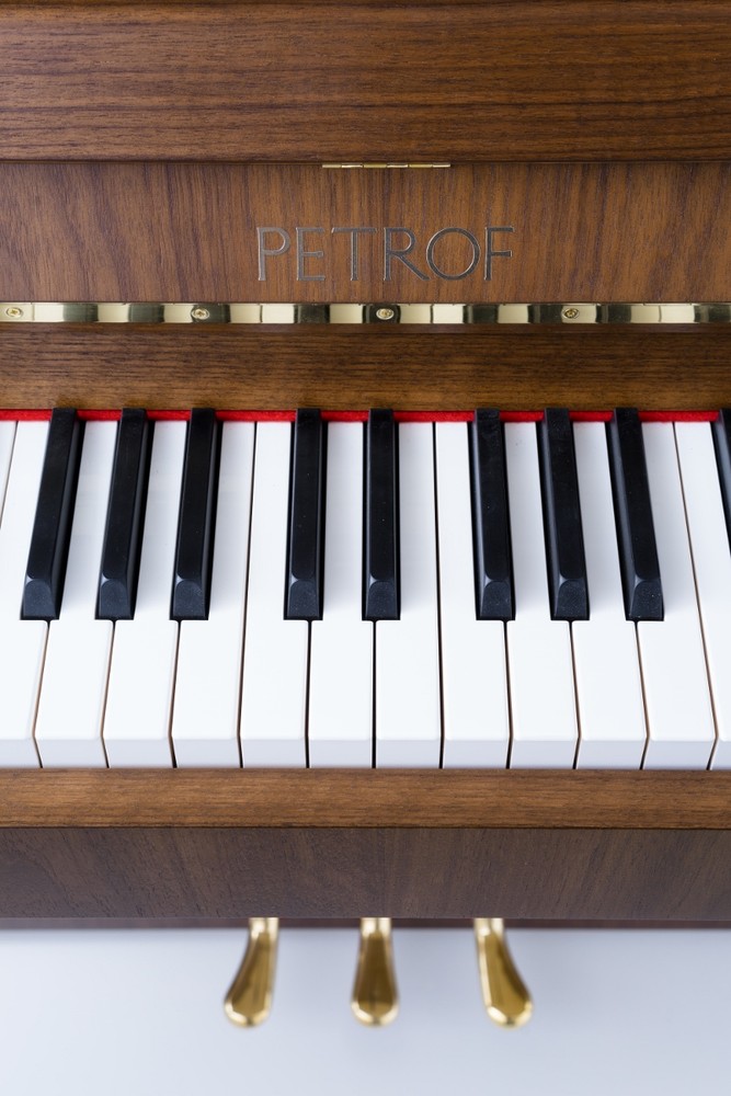PETROF – P 118 P1 – Bild 3