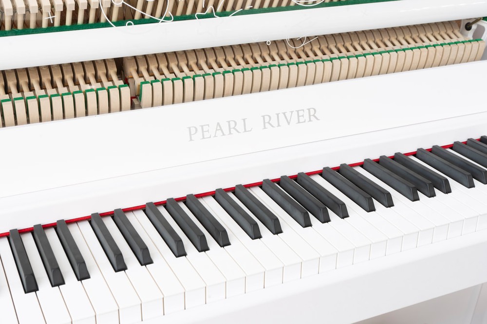 Pearl River – UP 95E – Bild 3