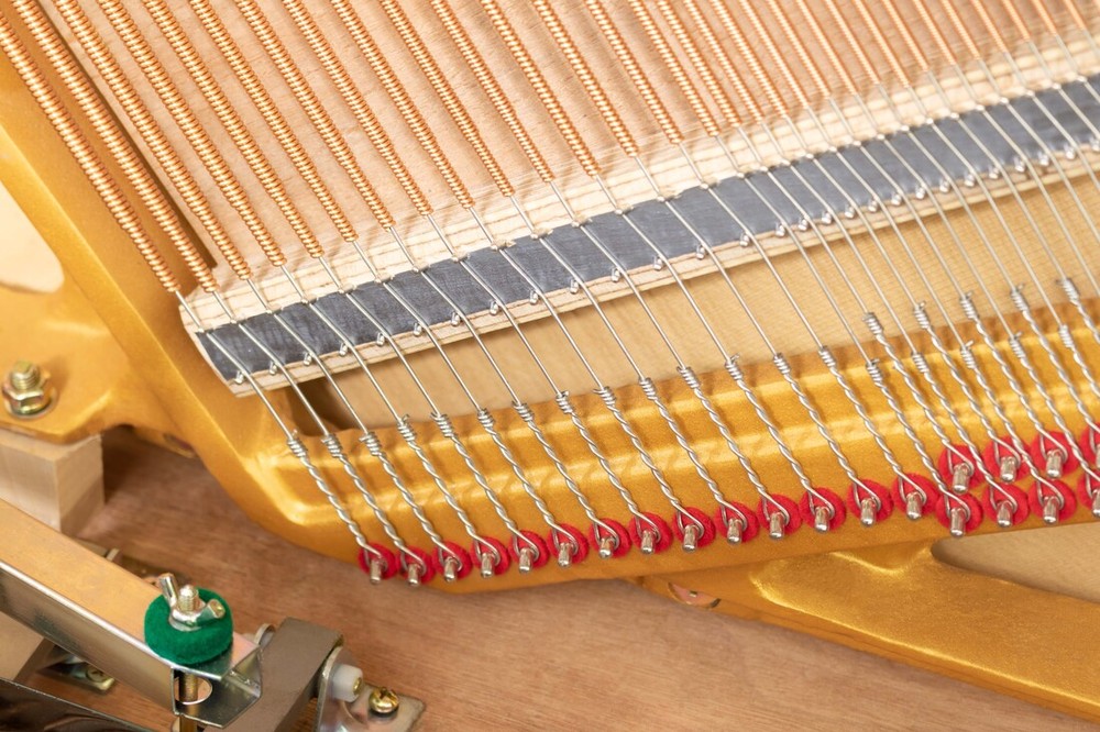 Ritmüller – RC-118 Premium – Bild 7
