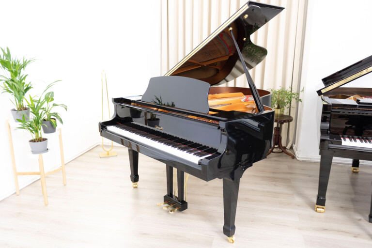 Ritmüller – Z-188