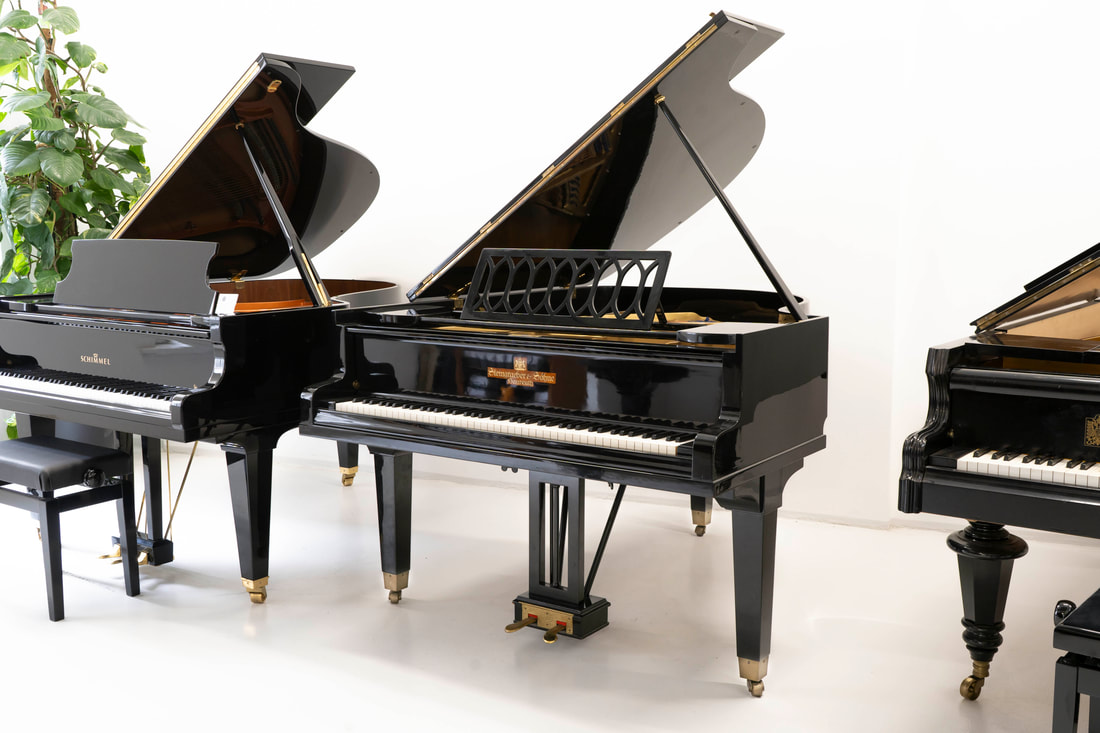 Steingraeber & Söhne – 160 cm – überholt