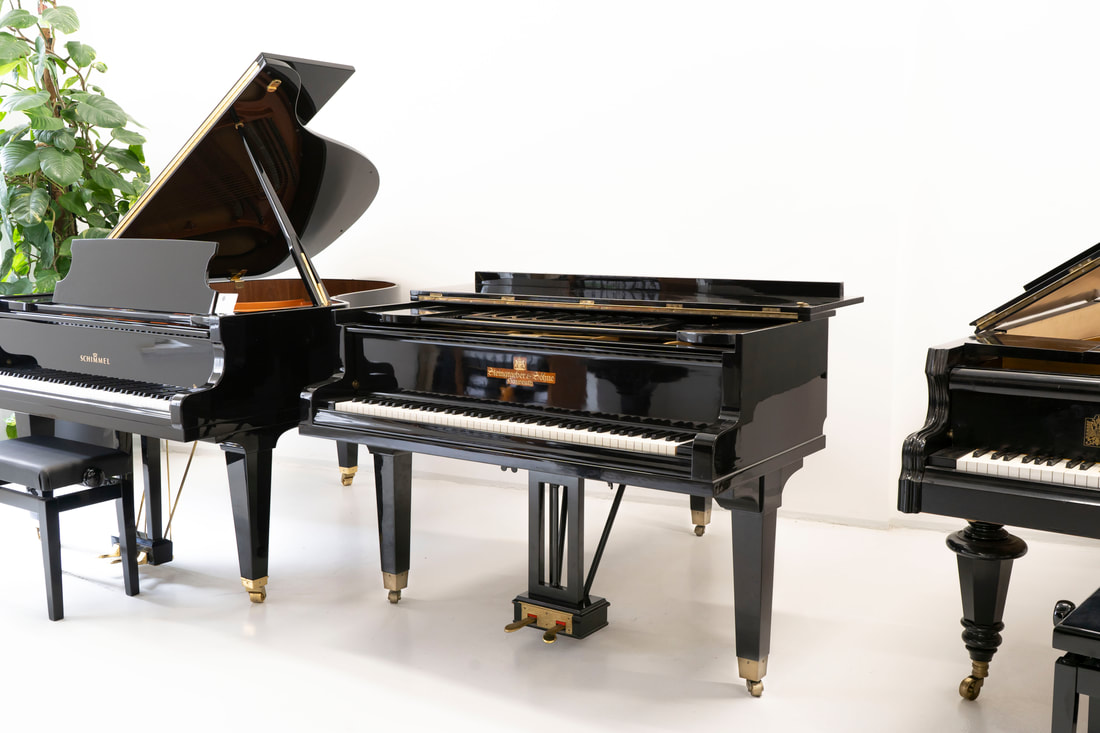 Steingraeber & Söhne – 160 cm – überholt