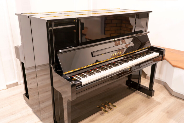 Yamaha UX1 – X-Strut – JUPA-Zertifikat